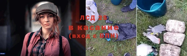 ПСИЛОЦИБИНОВЫЕ ГРИБЫ Зеленодольск