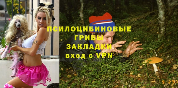 ПСИЛОЦИБИНОВЫЕ ГРИБЫ Зеленодольск