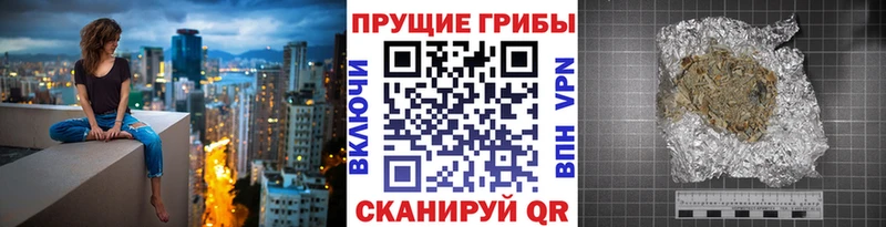 купить наркотики цена  Судогда  blacksprut ТОР  Галлюциногенные грибы Cubensis 